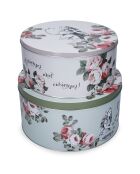 2 Alice in Wonderland roze/blauwe koekjesdozen