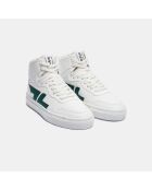 Baskets Alta vertes