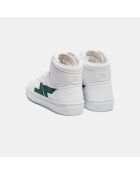 Baskets Alta vertes