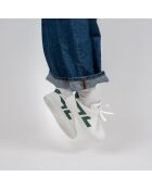 Baskets Alpha vertes
