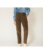 Parade New Velvet VL khakifarbene Baumwollhose