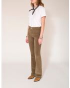 I pantaloni Diana Velvet Chic in cotone kaki