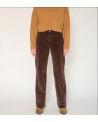 Die braunen Baumwolljeans von Jagger Velvet