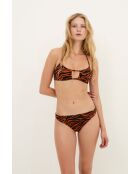 Culotte Charlotte Cebra siena