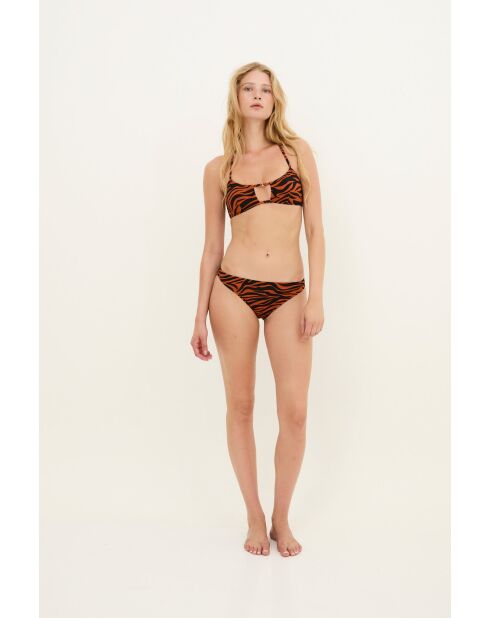 Culotte Charlotte Cebra siena