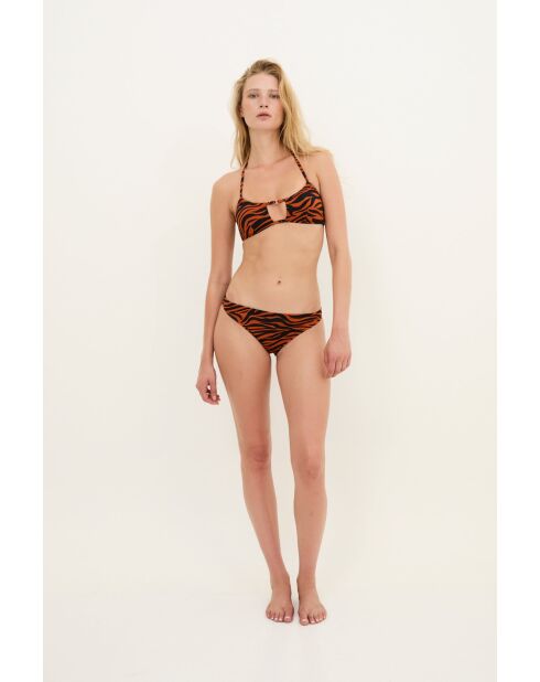 Culotte Charlotte Cebra siena