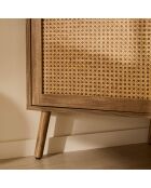 Palmo 1-türiger Eck-TV-Ständer mit Rattanfront, L.120 cm
