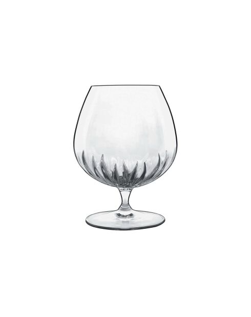 6 klare Cognac Mixology Likörgläser - 46,5 cl
