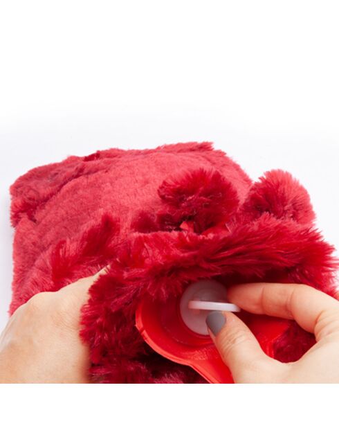 Bouillotte Biggdesign Cats rouge - 2 L