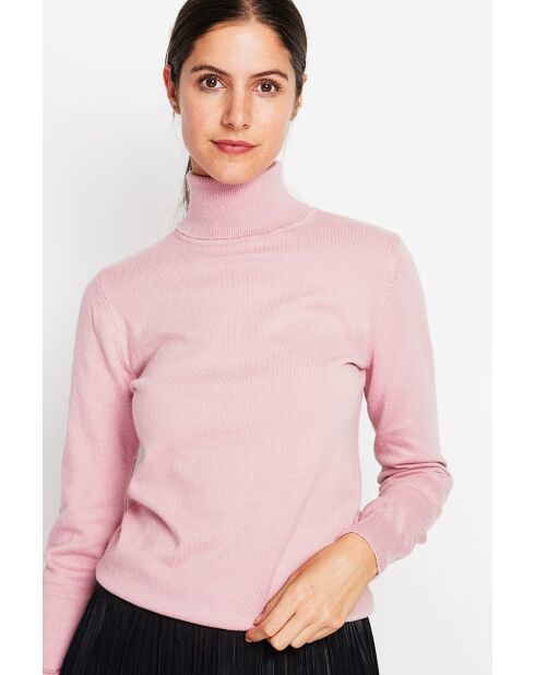 Pull col roulé classique à manches longues tricotage en 2 fils Isabelle rose poudré