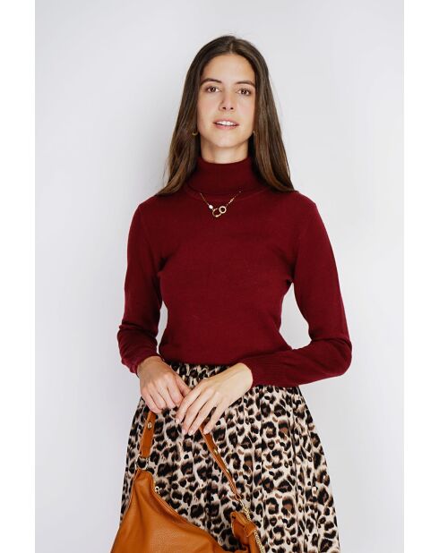 Maglione dolcevita classico in maglia a 2 fili bordeaux Isabelle a maniche lunghe