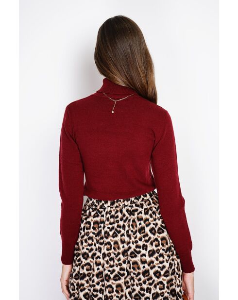 Maglione dolcevita classico in maglia a 2 fili bordeaux Isabelle a maniche lunghe