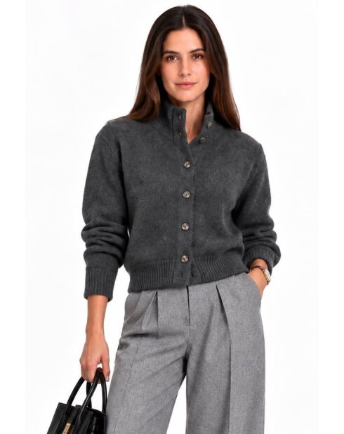 Mooi vest met hoge kraag en knoopsluiting en lange mouwen van wolfsgrijze wol