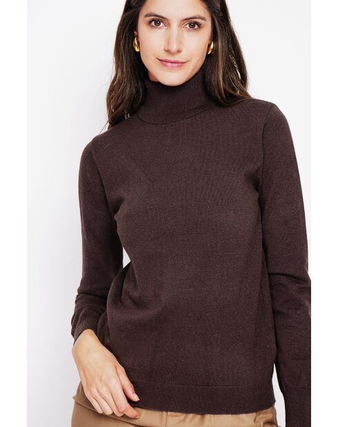 Pull col roulé classique à manches longues tricotage en 2 fils Isabelle café