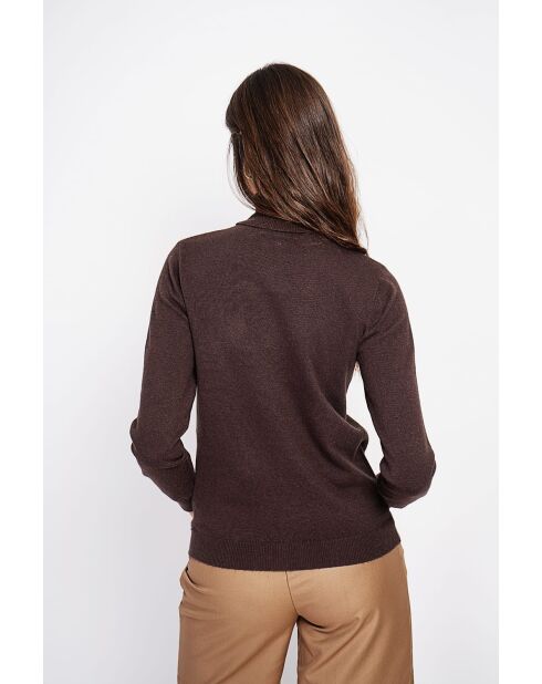 Pull col roulé classique à manches longues tricotage en 2 fils Isabelle café