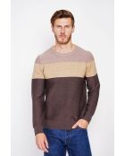 Aurore Coffee Fancy gebreide trui met ronde hals en lange mouwen