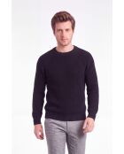 Manon Wollpullover mit Rundhalsausschnitt in Schwarz