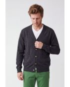 Gilet a maniche lunghe abbottonato classico grigio Lea Wolf con scollo a V