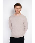 Gabriel Desert Classic Langarm-Pullover mit Rundhalsausschnitt