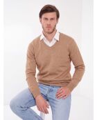 Arthur Camel klassischer Langarm-Pullover mit V-Ausschnitt