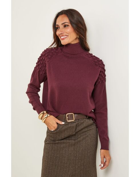 Burgunderfarbener Sinclair-Pullover