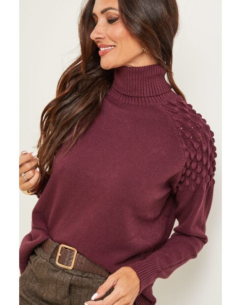 Burgunderfarbener Sinclair-Pullover