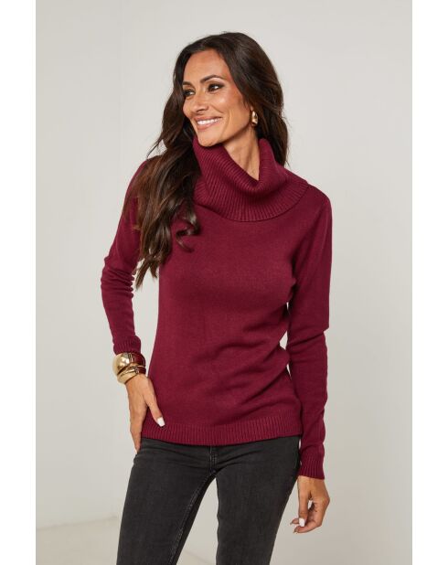 Pull Gabriel bordeaux