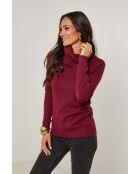 Pull Gabriel bordeaux