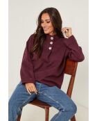 Ashford burgunderfarbener Pullover