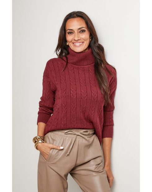 Pull Basile bordeaux