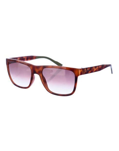 CK21531S braune rechteckige Sonnenbrille