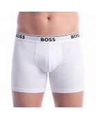3er-Pack Boxershorts aus Baumwolle 50538142 mehrfarbig