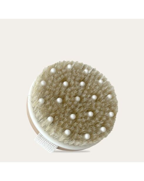 Brosse pour le corps