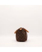 Borsa Speedy 25 marrone - Ottime condizioni - 25x19x15cm