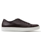 Sneakers en Cuir Boston marron foncé