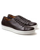 Sneakers en Cuir Boston marron foncé