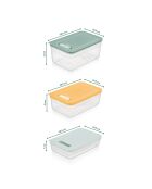 Set Aufbewahrungsboxen (9 Stück) mehrfarbig