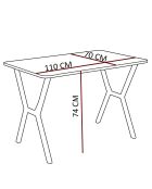 Elma eettafel en stoelset (5 stuks) grijs, zwart