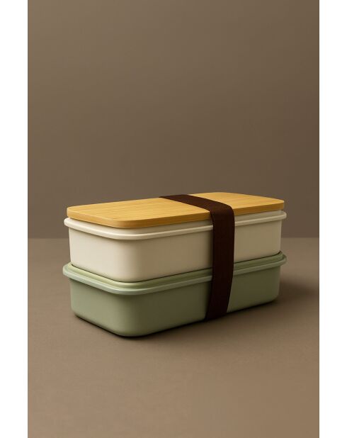 Ensemble de boîtes à lunch (2 pièces) vert/jaune