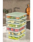 Aufbewahrungsboxen-Set (6 Stück) mint