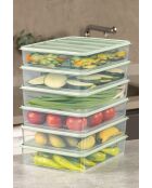 Aufbewahrungsboxen-Set (6 Stück) mint