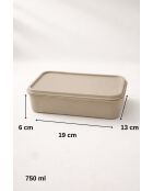 Graue Aufbewahrungsbox - 13 x 19 x 6 cm