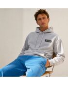 Hoodie basique Beauséjour gris