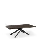 Table de salle à manger Udine 200 extensible chêne traité thermiquement/noir - 200/300 cm