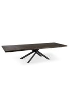 Table de salle à manger Udine 200 extensible chêne traité thermiquement/noir - 200/300 cm