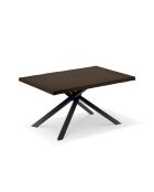 Table de salle à manger fixe en bois Udine 160 chêne traité thermiquement/noir - 160 x 90 x 76 cm