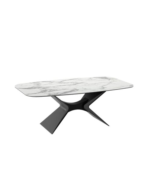 Table de salle à manger fixe en céramique Ravenna marbre blanc/anthracite - 220 x 110 x 75 cm