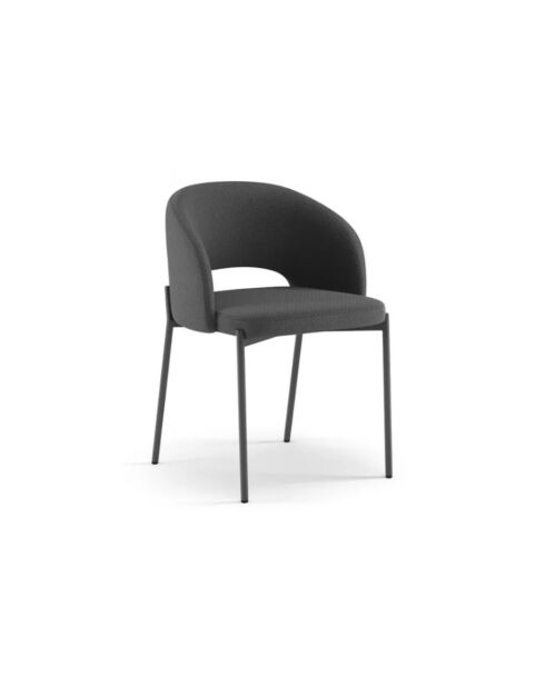 Ensemble de 2 chaises de salle à manger revêtues de tissu Lucca gris foncé/anthracite - 55,5 x 52 x 78,5 cm