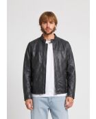 Veste de motarde en cuir Ledion noire