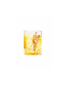 Lot de 6 verres Flovers Twigs jaune/orange - 10,5 cm